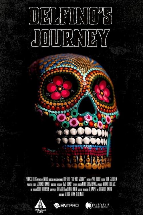 Download Delfino's Journey poster