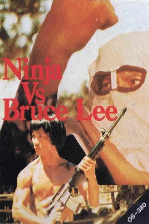 Download Ninja vs. Bruce Lee poster