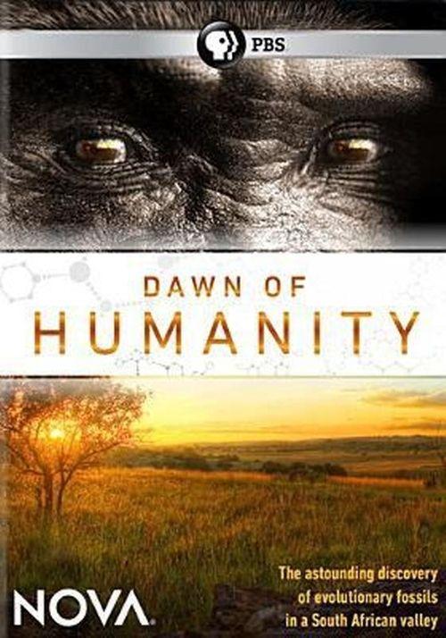Download Dawn of Humanity poster