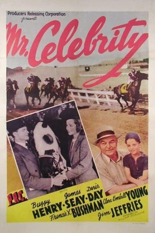 Download Mr. Celebrity poster