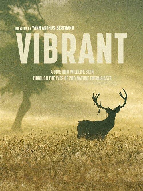 Download Vibrant poster