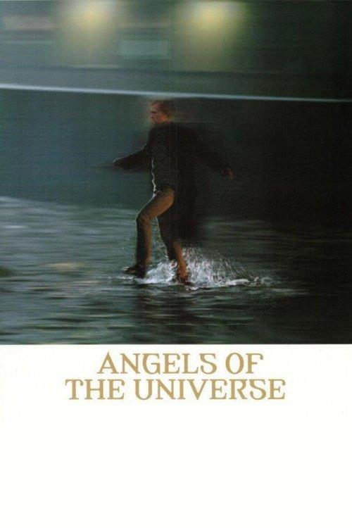 Download Angels of the Universe poster