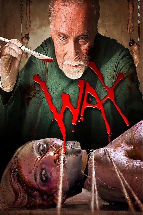 Download Wax poster