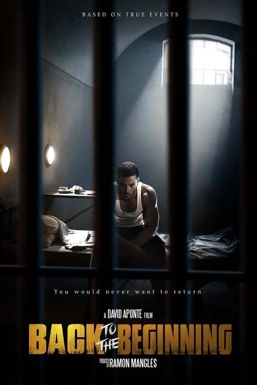 Download Back to the Beginning poster