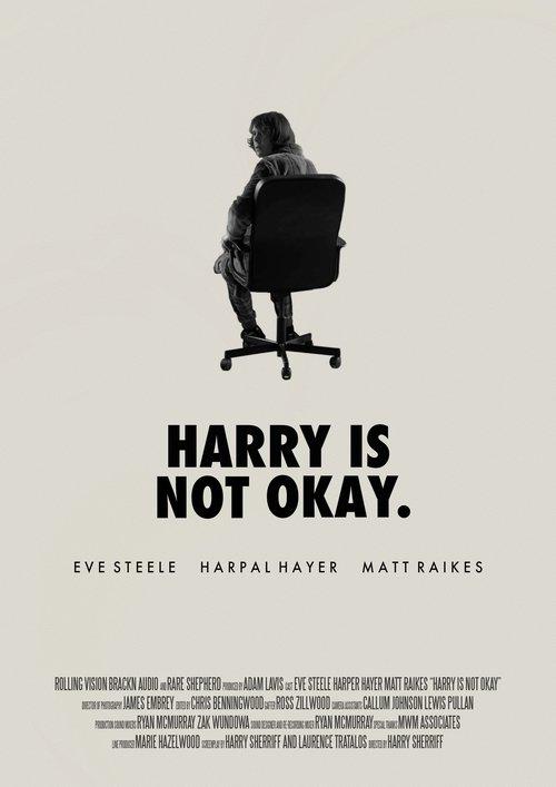 Download Harry Is Not Okay poster