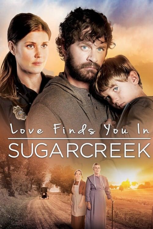 Download Love Finds You In Sugarcreek poster