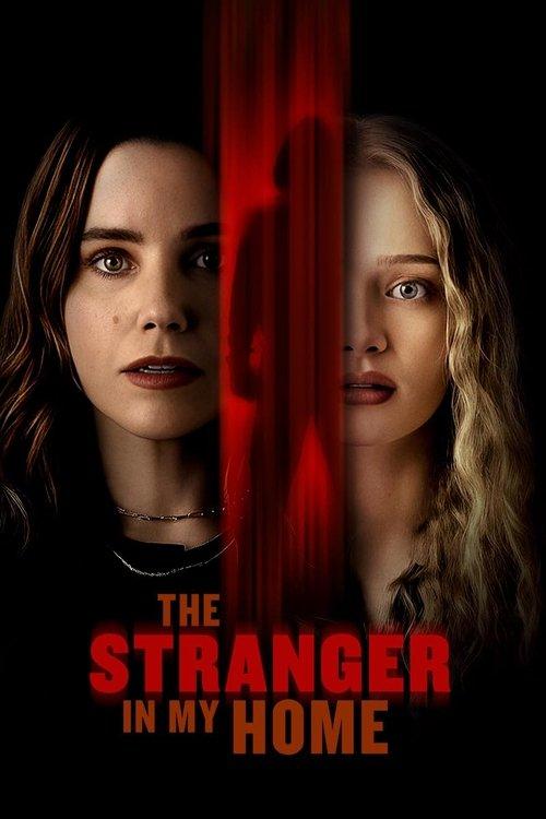 Download The Stranger in My Home poster