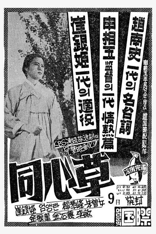 Download Dongsimcho poster