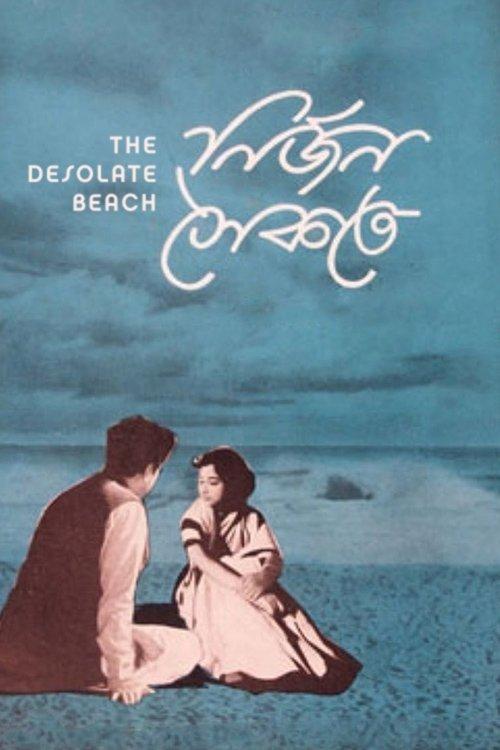 Download The Desolate Beach poster