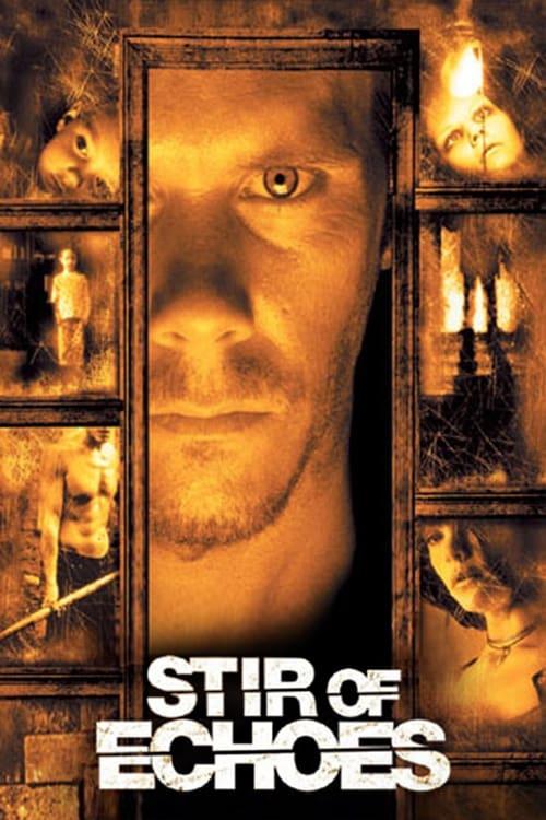 Download Stir of Echoes poster