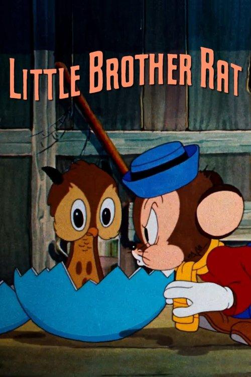 Download Little Brother Rat poster