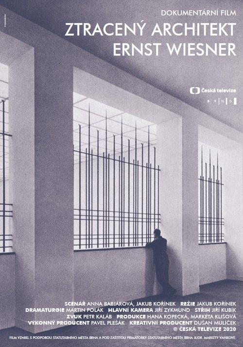 Download Ztracený architekt Ernst Wiesner poster