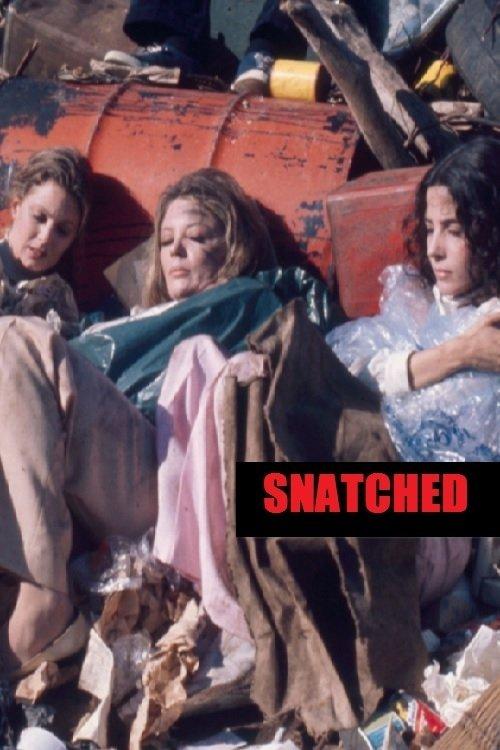 Download Snatched poster