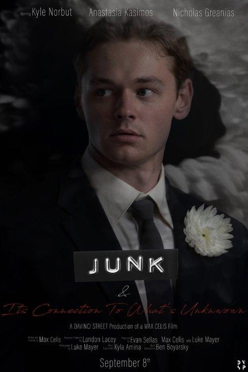Download JUNK & Its Connection to What's Unknown poster