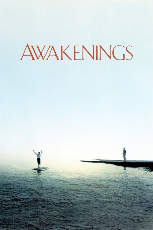 Download Awakenings poster