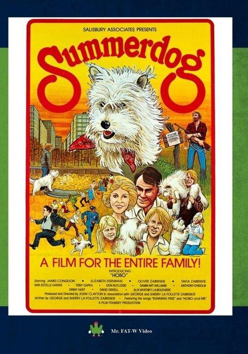 Download Summerdog poster