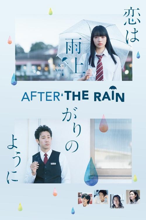 Download After the Rain poster