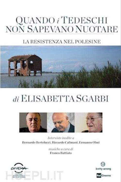 Download Quando i tedeschi non sapevano nuotare poster