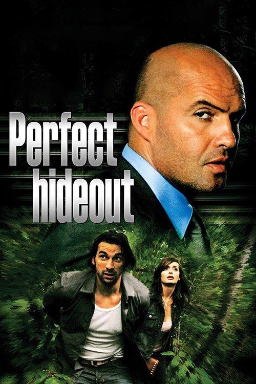 Download Perfect Hideout poster