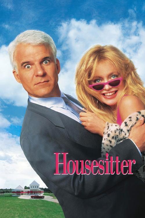 Download Housesitter poster