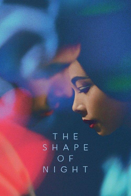 Download The Shape of Night poster