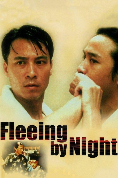 Download Fleeing by Night poster
