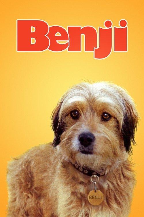 Download Benji poster