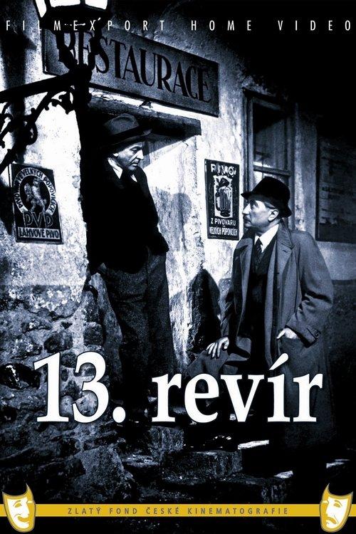 Download 13th district poster