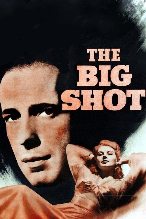 Download The Big Shot poster
