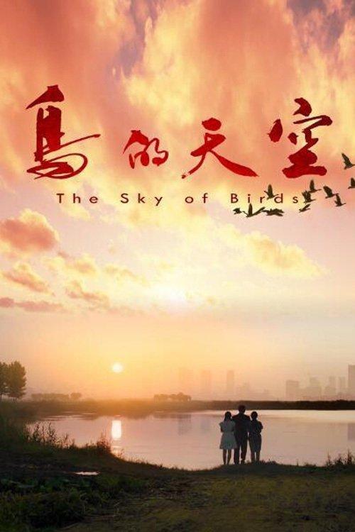 Download The Sky of Birds poster