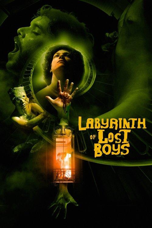Download Labyrinth of Lost Boys poster