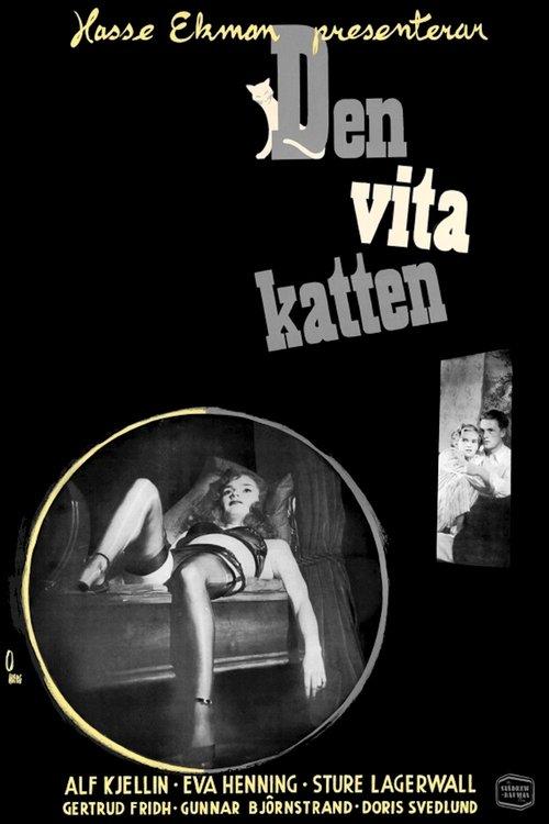 Download The White Cat poster