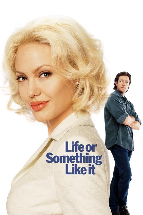 Download Life or Something Like It poster