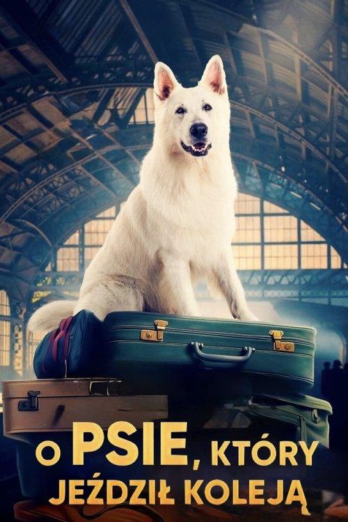 Download Lampo, the Travelling Dog poster
