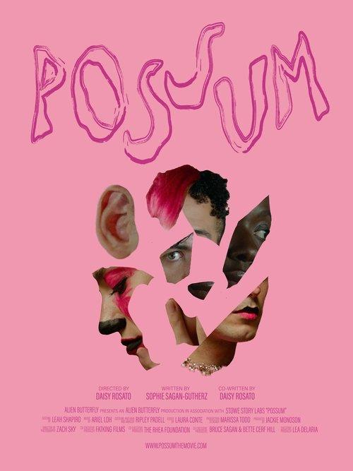 Download POSSUM poster