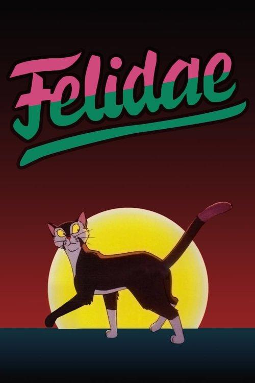 Download Felidae poster