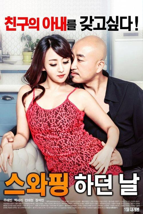 Download The Day of Swapping poster
