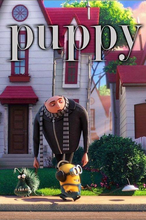 Download Puppy poster