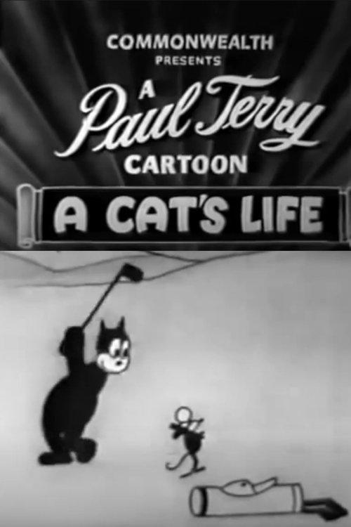 Download A Cat's Life poster
