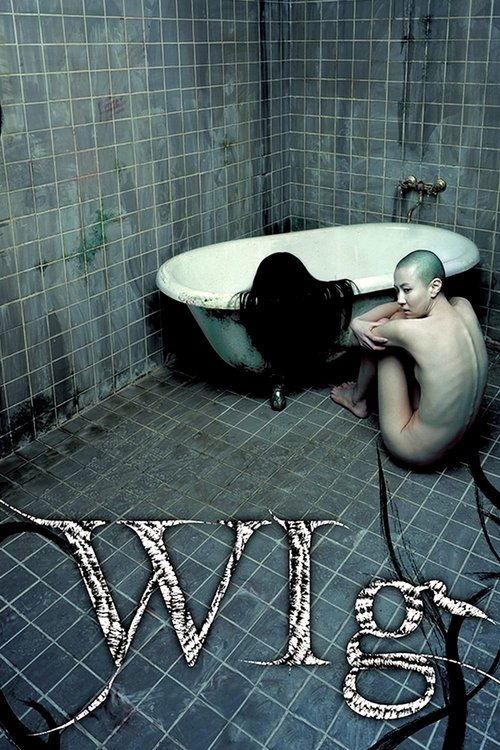 Download The Wig poster