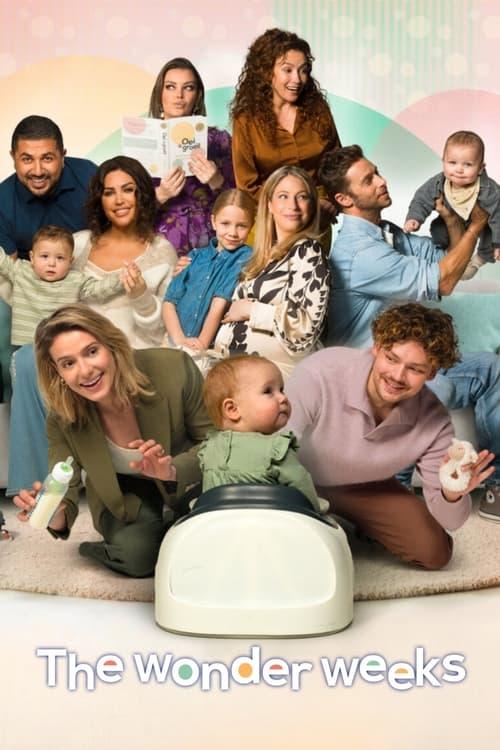 Download The Wonder Weeks poster