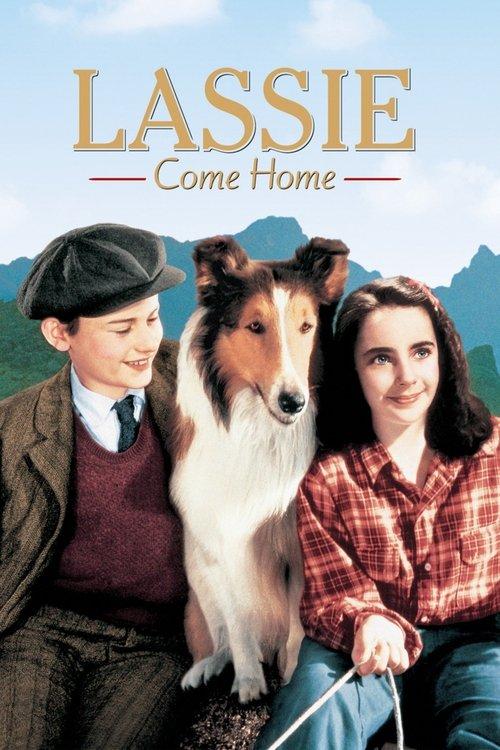 Download Lassie Come Home poster