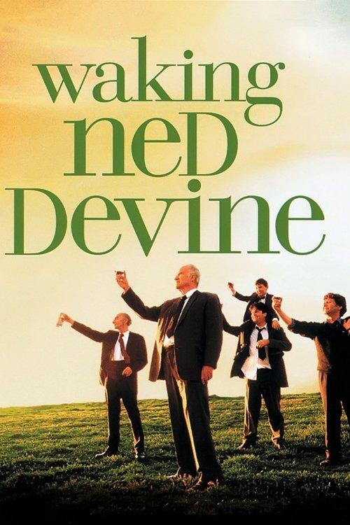 Download Waking Ned poster