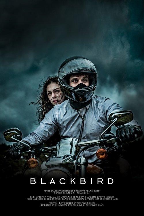Download Blackbird poster