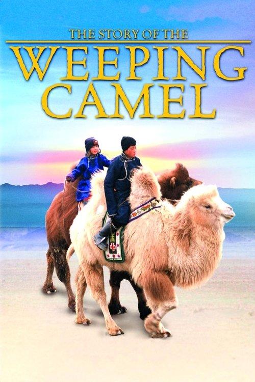 Download The Story of the Weeping Camel poster