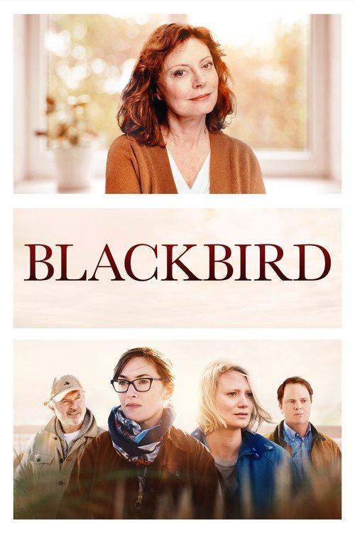 Download Blackbird poster