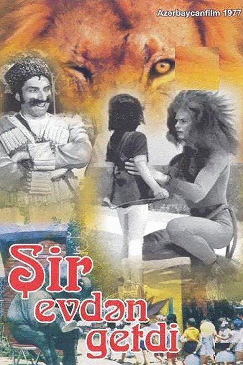 Download The Lion Ran Away from the House poster