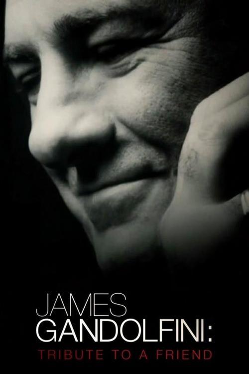 Download James Gandolfini: Tribute to a Friend poster