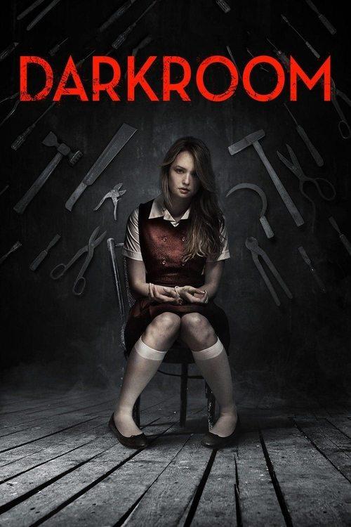 Download Darkroom poster
