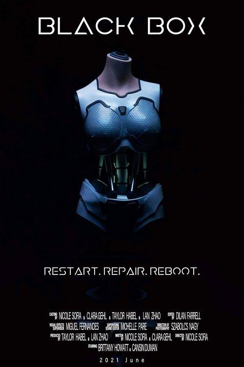 Download Black Box poster